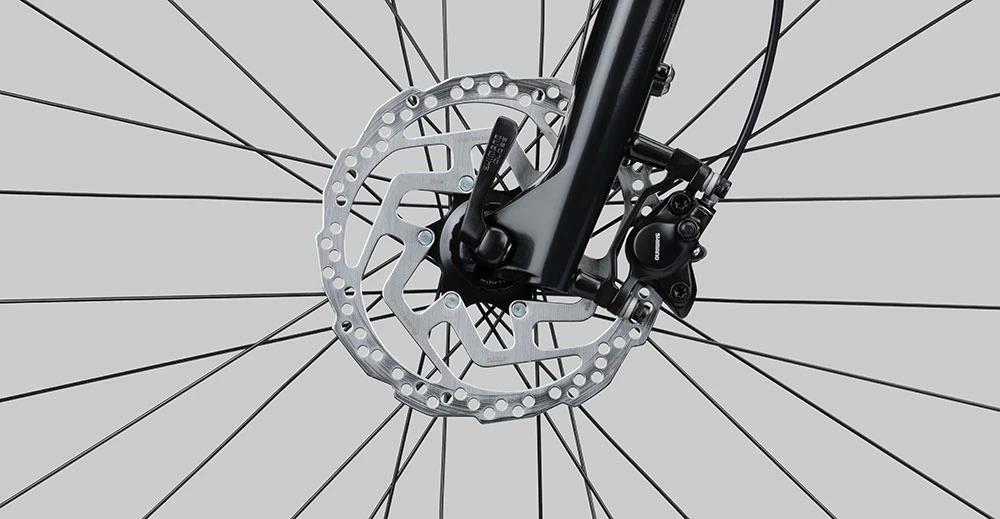 Radon Scart Light 9.0 Lady – Image 6