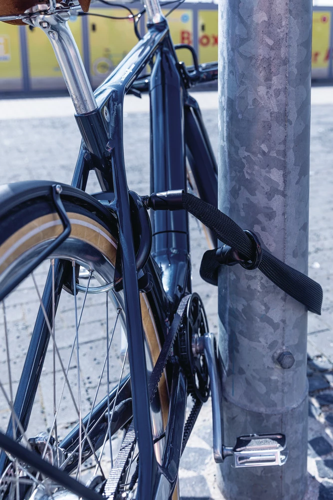 Abus Adaptor Chain Ach Ivy 6KS Chaîne De Verrouillage De Cadre – Image 4