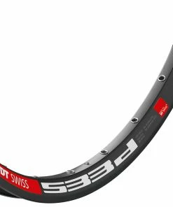 Dt-swiss Jante 533 D Disc 29"