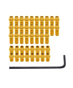 DMR Pin Kit Vault Or