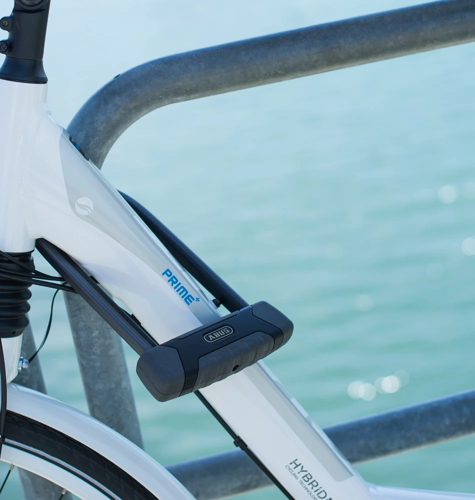 Abus Antivol à Arceau Granit X-Plus 540/160, Support SH B Inclus – Image 3