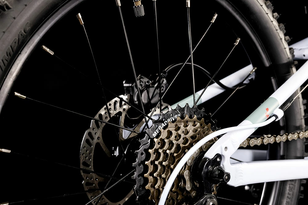 Cube Acid 200 Disc Blue´n´coral – Image 3