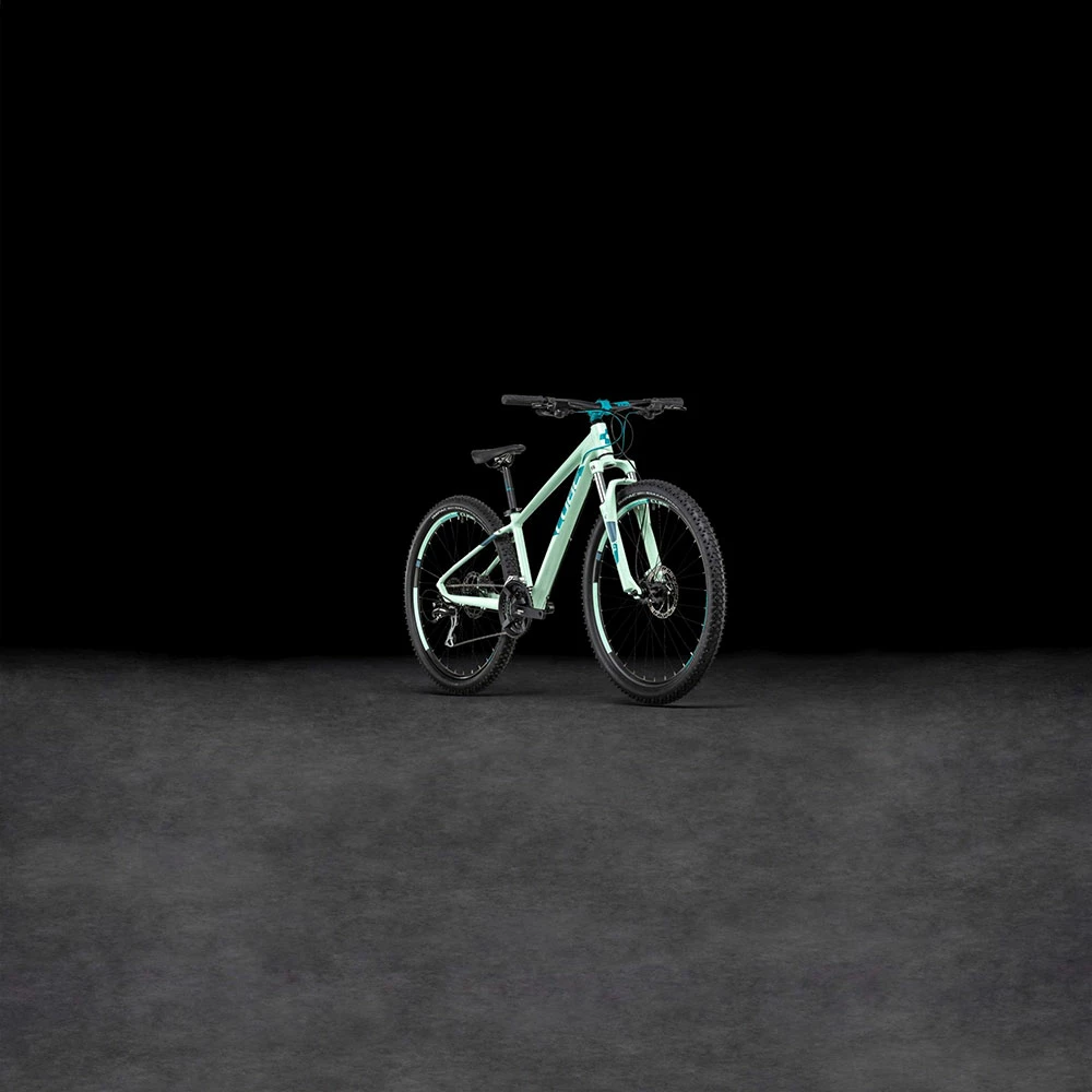 Cube Acid 260 Disc Mint´n´blue – Image 6