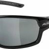 Alpina Tri-Scray 2.0 - Lunettes De Sport