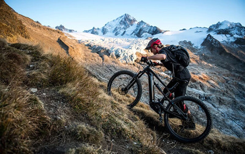 Bosch Mini Remote (BRC3300) Le Système Intelligent – Image 5