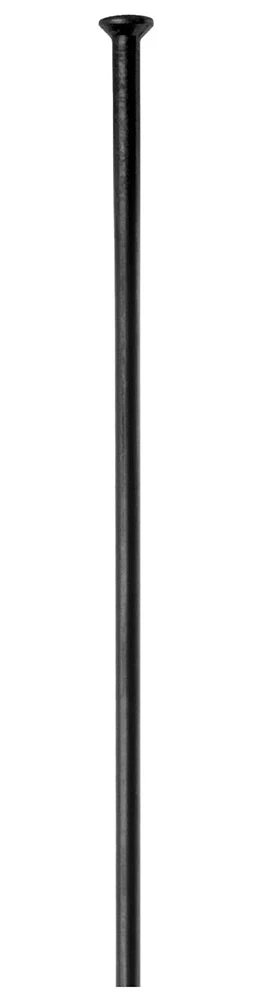 Dt-swiss Rayons Champion® Straightpull 2.0 (100 Pièces)