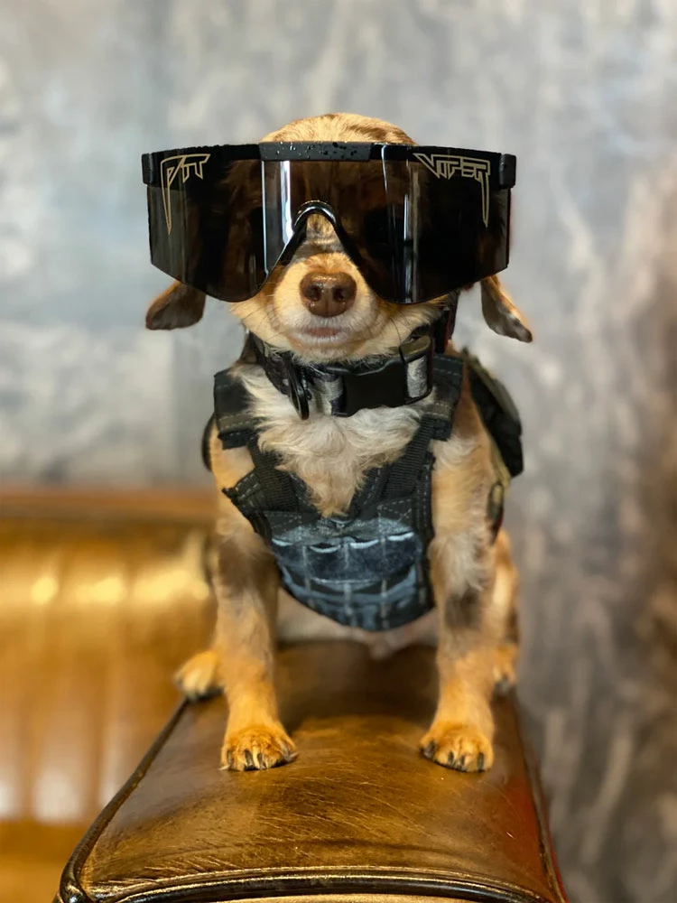 Pit Viper The 2000s Black Ops / Black Mirror Z87/Ballistic Rated - Lunettes De Soleil – Image 4