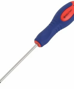 Radon Tournevis Phillips/croisé Pro