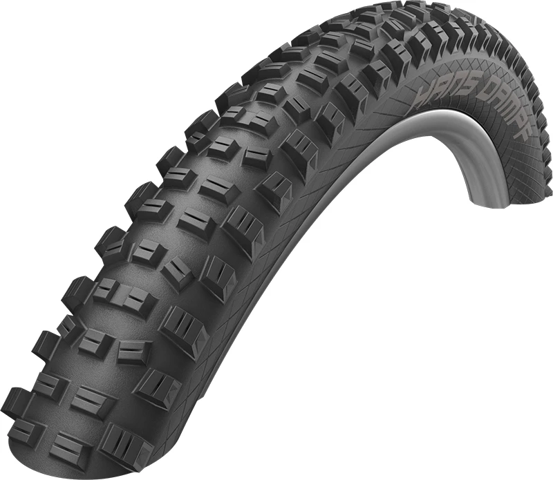 Schwalbe Hans Dampf Performance Addix 24x2,35" TLR Pneus Pliants