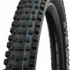 Schwalbe Pneus Pliants Wicked Will Performance Addix 29" E-50